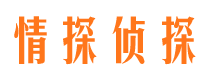 泾阳外遇出轨调查取证